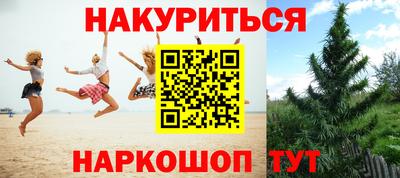 гидропоника Ярославль