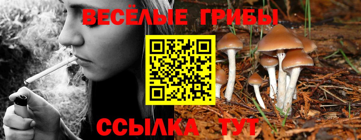 Выборг  Галлюциногенные грибы Psilocybe  Вход с VPN  Галлюциногенные грибы GOLDEN TEACHER 